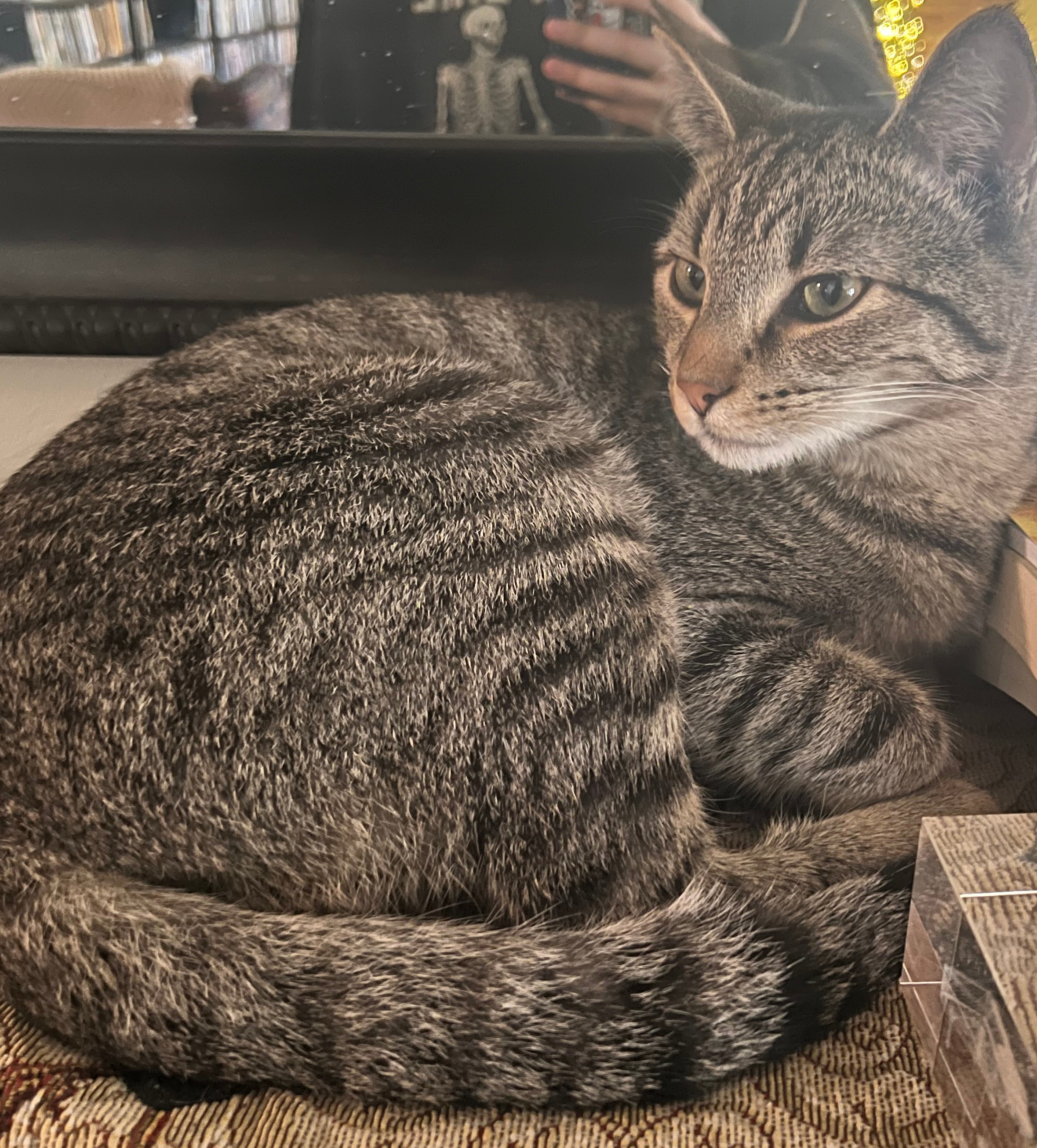 Mr. Jiggles